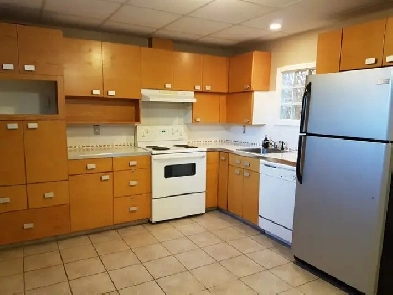 West Edmonton bsmt suite Apr 1 Image# 1
