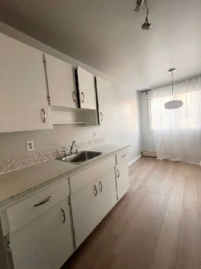 Large Renovated One Bedroom Unit near UofA, Furnish Optional Image# 1