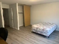 Room for Female Student  Available now Image# 1