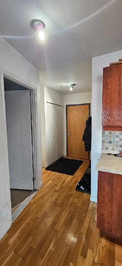 Joli et grand 3 1/2 - à 7 min à pied station Montmorency Image# 1