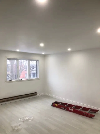 Amazing 5 1/2 lasalle