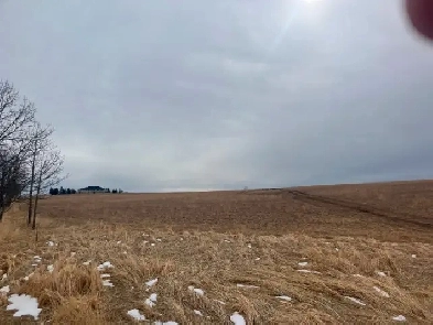 Cochrane 160 Acres Image# 3