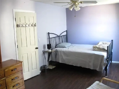 Furnished Big Room for rent in Bridlewood SW Calgary (20X10F) Image# 1