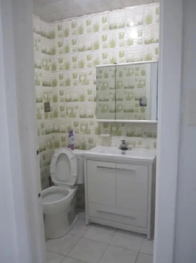 GRAND 2 1/2 A LOUER D'UN TRIPLEX Image# 1