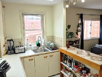 1BdRm Queens Campus Sunny  Modern Student Apt Wellington St Image# 1