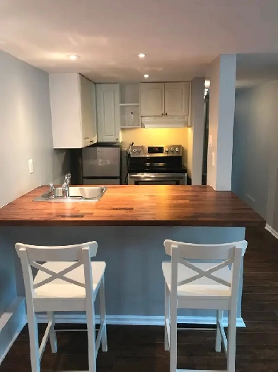 1 bed / 1 bath apartment New Edinburgh / Beechwood area Image# 2