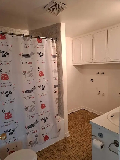 Logement 3 1/2 à louer à Terrebonne Image# 1