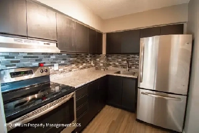 745-203 Davis Dr. 2br/1bth condo newly painted. April 1. $2200 Image# 1