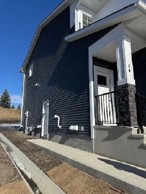 Basement for rent-Pet friendly Image# 1