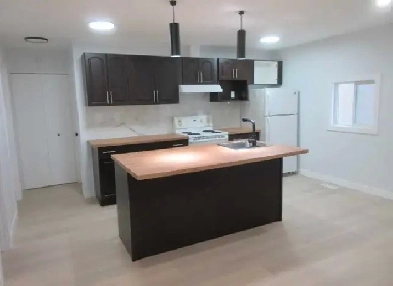 Newly Renovated 3 BR 2 Bath Full Finished Basement Image# 9