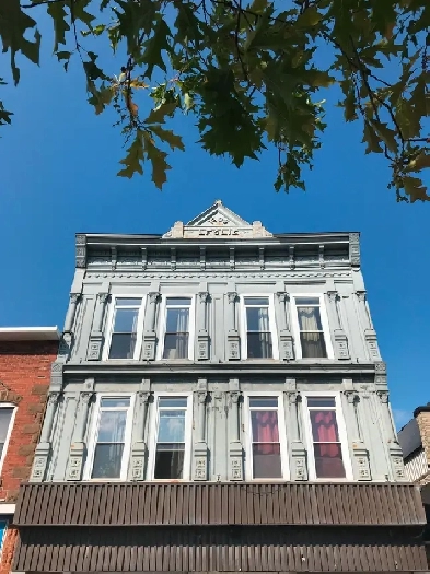 Carleton Place Downtown 1 BedRoom Apt Elevator /Best for Senior Image# 8