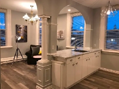 Carleton Place Downtown Bridge St - 1 Bedroom Apt – 2nd floor Image# 2
