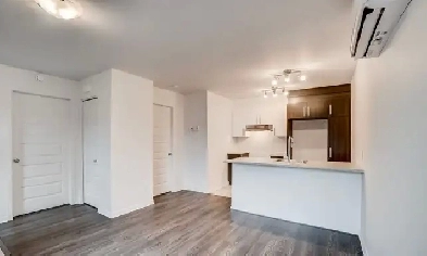 3 1/2 à louer. One bedroom. Aylmer, Gatineau.  1 Avril ou 1 Mai Image# 1