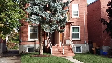6-BED House For Rent - Walk to Ottawa University Image# 1