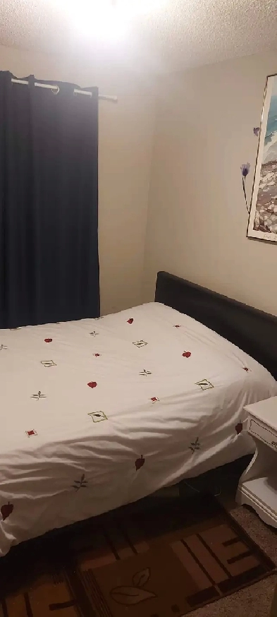 Roommate -Single room Short term Temple, NE Image# 1