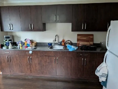 Studio suite for rent Image# 1