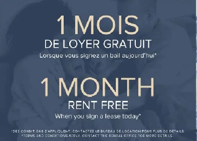 The Quartz Montreal Apartments - Junior 1 Bedroom available at 6 Image# 1