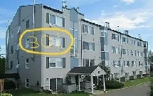 Appartement (studio) à louer Image# 11
