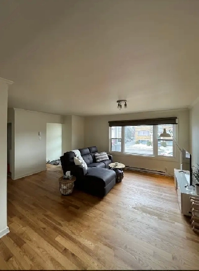 Hull (Gatineau) - appartement à loué / appartement for rent Image# 1