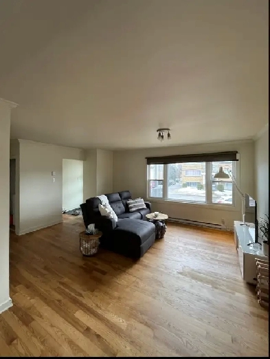 Appartement à loué / Appartement for rent - Gatineau (Hull) Image# 1