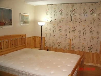 Female Student Room - Walk to Algonquin (all inclusive, special) Image# 1