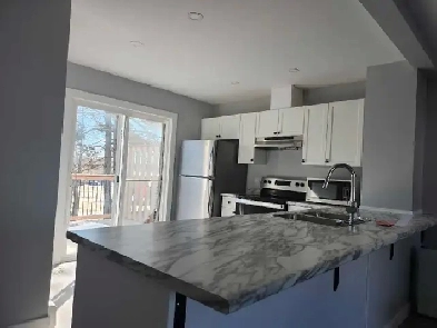 Montague central, 4 bed, 2 full bath, newly renovated townhouse Image# 1