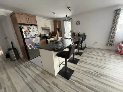 Cession Très Grand 4 1/2 Récent à partir du 1er mai 2025 Image# 1