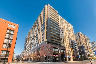 À louer STUDIO meublé au 235 PEEL- GRIFFINTOWN Image# 1