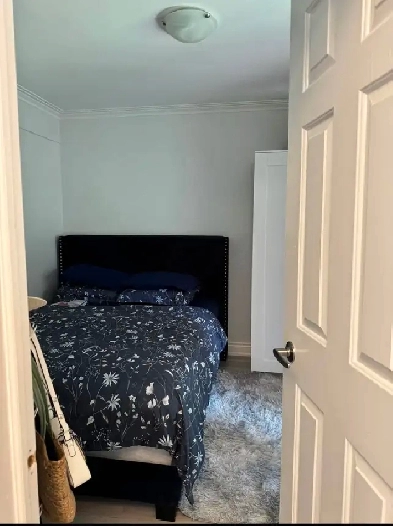 1 bedroom apartment Image# 1