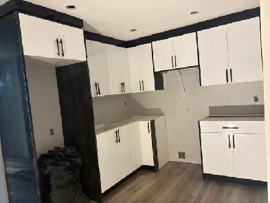 Brand New Basement for Rent Image# 1