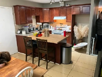 Grand 5.5, Le Gardeur, demi-sous-sol, 1 juillet, $1550 Image# 1