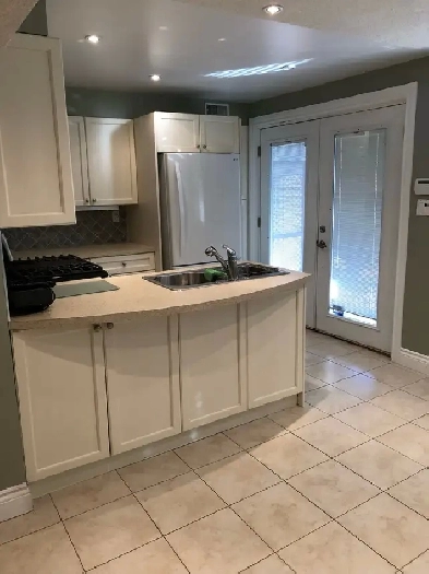 1 Bedroom Walkout BasementApartment for Rent (Suitable for a Wor Image# 1