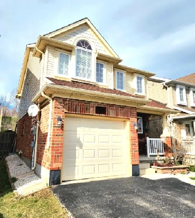 STUDENT ROOMS RENTAL Image# 1