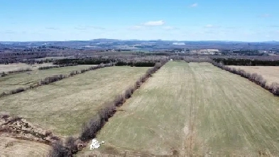 Danville (Estrie) : Terre agricole 243 ac., 135 ac. cultivable Image# 4