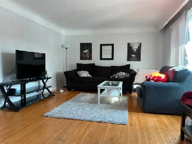 Short walking distance to McMaster  hours room for rent Image# 1