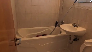 Appartement 3 1/2 à Louer/ Apartment for Rent Image# 1