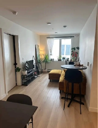 Room For Rent on Dalhousie Campus Image# 1