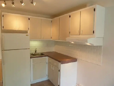 ROSEMONT - LA PETITE PATRIE, BEAU  4 1/2 AVEC SOLARIUM Image# 1