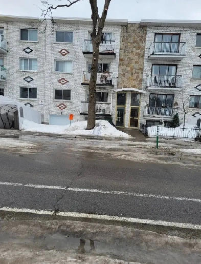 Grand 51/2 avec stationnement à louer, à pied du métro Cadillac Image# 1