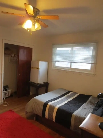 Room for Rent Near Algonquin College Furnished Image# 1