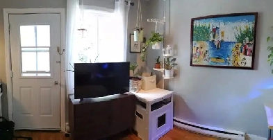 Ahuntsic 3 1/2 logement à louer - juin 1 Image# 1