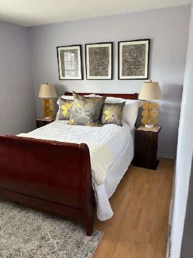 Rent room in basement Image# 1