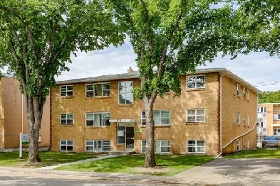 Modern Apartments with Air Conditioning - Retallack Apartments - Image# 1