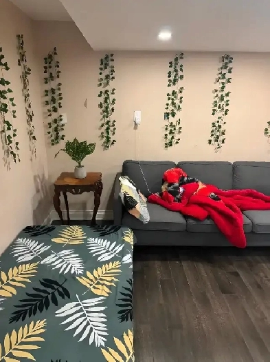 2 Bedroom in Brampton - UTILITIES INCLUDED Image# 1