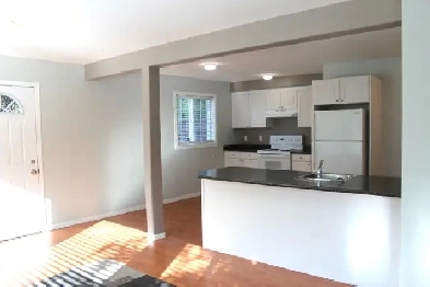 Quite two bedroom ground floor rental Image# 9