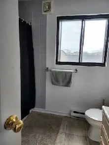 Very Large 4 1/2 Beautiful West Island Image# 1