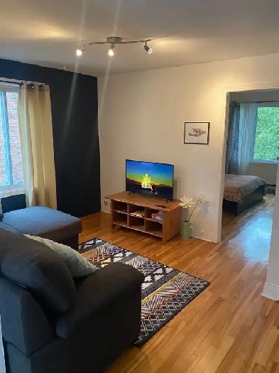 Appartement meublé a louer Rosemont - minimum 3 mois Image# 1