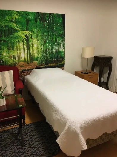 Big bright furnished private BR on top floor by Joyce Station Image# 1
