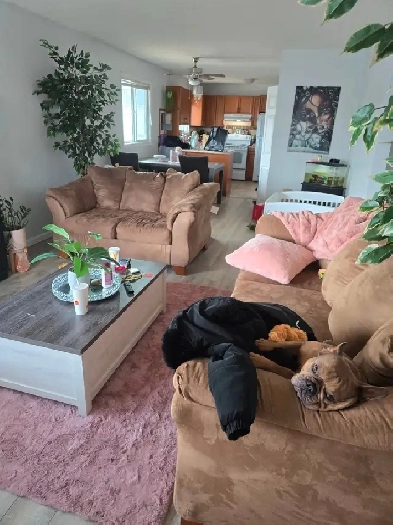 Room for rent $1000 Image# 1