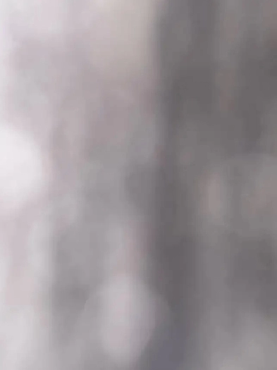 Basement for Rent Image# 1